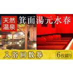 温泉 サウナ スパ利用券 箕面湯元水春 入浴回数券