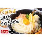 うどん 生 半生めん 二段熟成半生さぬきうどん24人前