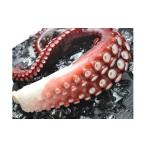 fu.... налог осьминог Hokkaido больше шерсть блок 7-011-001 мягкость . сделал . пара 2 шт (700~800g)