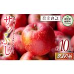 ふるさと納税 りんご 長野県 飯綱町 りんご サンふじ 訳あり 10kg 令和7年度収穫分 沖縄県への配送不可 2025年12月上旬頃から2025年12月下旬頃まで順次発送予…