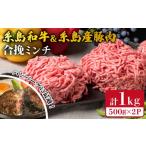 肉 ハンバーグ 糸島和牛 糸島産豚 合挽ミンチ 500g×2p