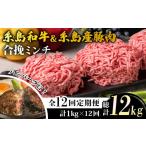 牛肉 ハンバーグ 全12回定期便 糸島和牛