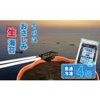 のり 海藻 氷結 有明海産 おさしみ生海苔 20g×4袋