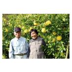 ふるさと納税 みかん・柑橘類 高知県 宿毛市  先行予約 土佐文旦 10kg 家庭用 M ~ L 小玉 文旦 ぶんたん みかん 高知 フルーツ スイーツ 蜜柑 お裾分け デザー…