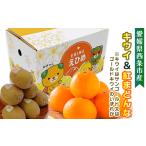 ふるさと納税 果物の詰合せ 愛媛県 西条市 愛媛県西条市産 紅まどんな キウイ 詰め合わせ サンゴールドキウイまたはゴールドキウイと紅まどんなのセット 先行…