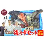 旬の鮮魚等 定期便6回 朝獲れ海の幸セット
