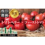 ファンにならずにいられない ファーストトマト&トマトベリー