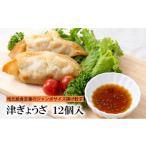 ふるさと納税 惣菜・レトルト 三重県 津市 津ぎょうざ 12個 ギョウザ 餃子 冷凍 ご当地 お取り寄せ 簡単調理 惣菜 おかず 津市 ジャンボサイズ 揚げぎょうざ …