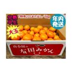 ふるさと納税 果物類 みかん 和歌山県 有田川町 年内発送 完熟早生 有田みかん 大玉 特秀 2L または L サイズ 5kg 和歌山 南泰園 みかん