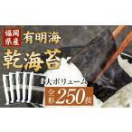 魚貝類のり 有明海 乾海苔 50枚×5袋