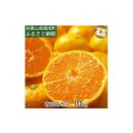 果物類 みかん 秀品 有田ブランド 賢みかん 約10kg