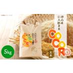 ふるさと納税 玄米 岡山県 津山市 突鉱土育ち 巨大胚芽米CoCoRo 5kg 1361992