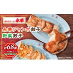 ふるさと納税 餃子 栃木県 佐野市 佐野餃子(大)10個2人前×2パックと佐野餃子(中)24個4人前×2袋_ 餃子 ぎょうざ 佐野餃子 野菜餃子 栃木県 佐野 おつまみ お…