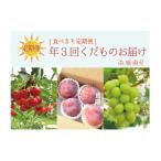 果物の詰合せ 食べきり定期便 年3回くだもの定期便セットC