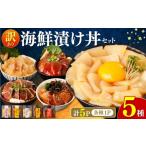 魚貝類 漬け丼5種セット 60g×1パック