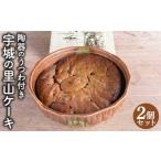 ケーキ カステラ 宇城の里山ケーキ 2個セット