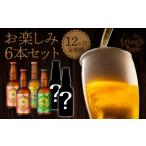 ふるさと納税 宮崎県 延岡市 12ヶ月定期便　宮崎ひでじビール　お楽しみ6本セット　N073-ZG098