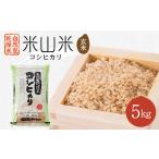 ふるさと納税 玄米 富山県 入善町 自然型乾燥特栽米コシヒカリ(米山米)玄米5kg×1袋 1364713