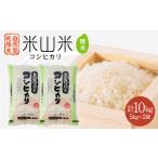 ふるさと納税 米 コシヒカリ 富山県 入善町 自然型乾燥特栽米コシヒカリ(米山米)精米5kg×2袋 1364721
