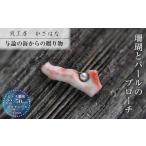 アクセサリー ブローチ 白蝶貝を素材にした