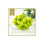 ショッピングふるさと納税 シャインマスカット ふるさと納税 ぶどう マスカット 山梨県 甲州市 甲州市産 シャインマスカット 秀等品 3〜5房 約1.8kg 2026年発送 （HNT）C-411 シャインマスカット 葡萄 ぶど…