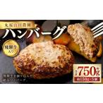 肉 ハンバーグ 冷凍 別送 即時交換 美濃加茂市　ふるさと納税 肉 ハンバーグ 岐阜県 美濃加茂市 飛騨牛入り ハンバーグ 5個 セット | 丸坂山田農園 飛騨牛 牛肉 肉 お肉 手作り 惣菜