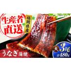 うなぎ 蒲焼 大3尾 合計 480g