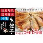 ふるさと納税 餃子 岩手県 滝沢市 冷凍生餃子 5種類 64個 (餃子のタレ付)食べ比べセット 生餃子専門店 / 餃子 ギョーザセット 惣菜 おかず