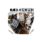 野菜類 きのこ 産乾燥きのこ詰め合わせセット