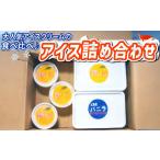 菓子 アイス 愛南ゴールド バニラ 各700g