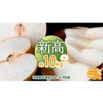 梨 つくばみらい市 新高 約10kg