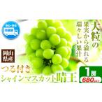 ぶどう マスカット シャインマスカット 晴王