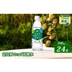 炭酸飲料 サイダー 炭酸水 500ml
