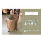 木工品 竹工品 DM015 テリハボクの木の置物