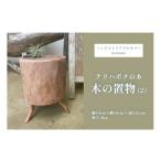 木工品 竹工品 DM016 テリハボクの木の置物