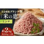 豚肉 ハンバーグ ブランド豚 米の恵み ミンチ 2kg