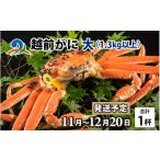 カニ ずわいガニ 南 越前がに 大 1.3kg以上