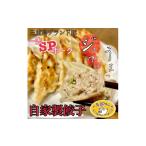 餃子 おかんの手作り餃子 一志SPポーク入り自家製餃子 50個