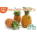 ふるさと納税 果物類 沖縄県 竹富町 訳あり 不揃い 2026年 先行予約 ピーチパイン 約15kg 16〜32玉 