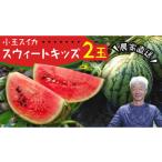 fu.... налог арбуз Ibaraki префектура Sakura река город 2026 год 5 месяц последняя декада .. отправка начало маленький шар арбуз Suite Kids 2 шар комплект предшествующий предварительный заказ маленький шар арбуз ... запад .... ..f...