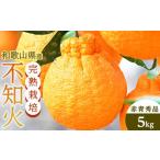 ふるさと納税 みかん・柑橘類 デコポン 和歌山県 海南市 ［先行予約］不知火（完熟栽培）樹上約300日　15玉〜28玉　5kg　赤青秀品 和歌山　海南市　農園直送