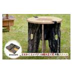 アウトドアグッズ チェア テーブル レジャーシート