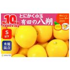 ふるさと納税 みかん・柑橘類 和歌山県 有田川町 八朔 (はっさく) とにかく 小玉 箱込 10kg(内容量約 9.2kg) 秀品 優品 混合 Sサイズ以下 和歌山県産 産地直送…