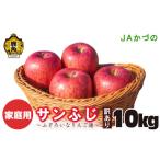 ふるさと納税 りんご 秋田県 鹿角市 《先行予約》訳あり 鹿角りんご「サンふじ」ふぞろいなりんご達 10kg JAかづの ●2026年1月中旬頃発送開始 家庭用 規格外 …
