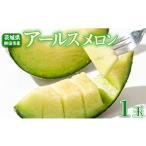 ふるさと納税 メロン メロン青肉 茨城県 鉾田市 アールスメロン \生産量日本一 / 1玉入り1箱 2kg〜2.5kg アールスメロン メロンの村田 選べる玉数 先行予約…