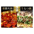 モツ鍋 EG100 本格 薬膳 火鍋 牛もつ鍋