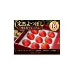 いちご 産直 完熟よつぼし 四重奏プレミアム