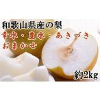 梨の梨 約2kg