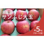 ふるさと納税 りんご 長野県 松川町 KR20-25A 1月発送 りんご サンふじ 家庭用 大玉 約5kg（10〜13玉） ／ 1月上旬頃〜配送予定 ／／ 長野県 南信州 リンゴ 林…