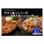 ふるさと納税 牛肉 ハンバーグ 山形県 河北町 牛タン生ハンバーグと合い挽き生ハンバーグの食べ比べセット 隔月3回定期便 　ka007-030a002